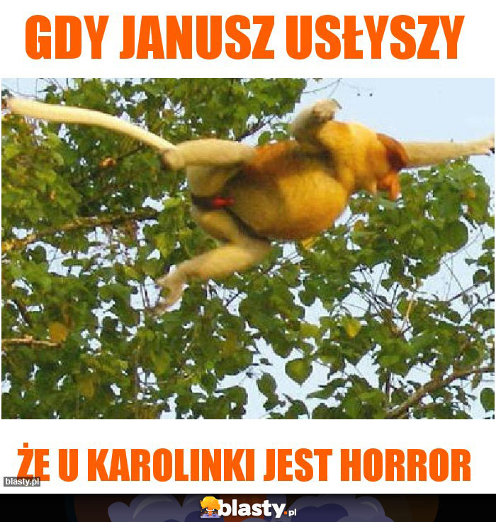 Gdy Janusz usłyszy