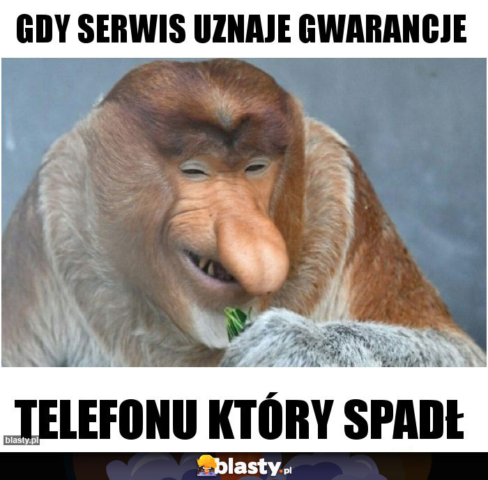 Gdy serwis uznaje gwarancje