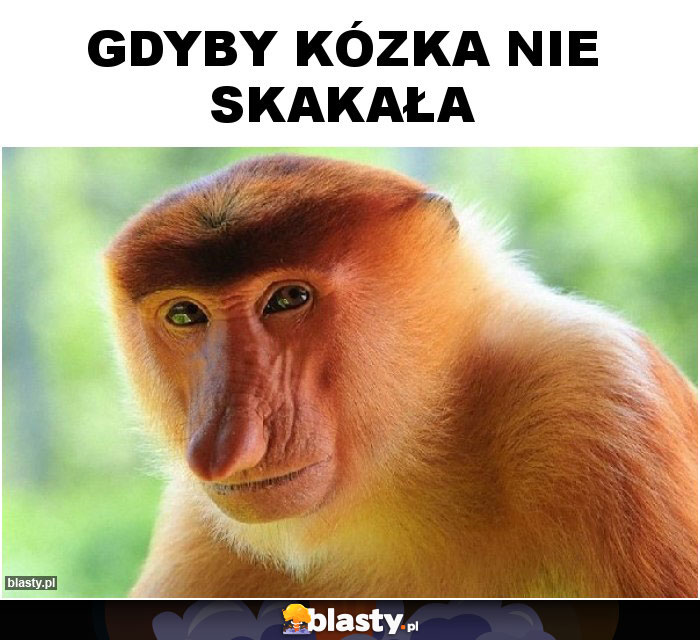 Gdyby kózka nie skakała