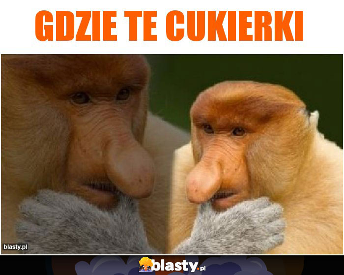 Gdzie te cukierki