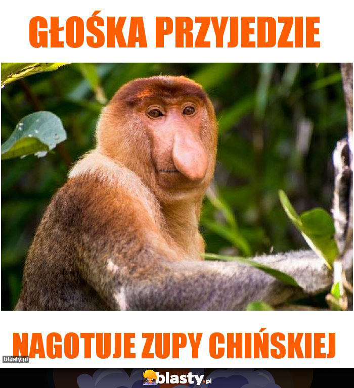 Głośka przyjedzie