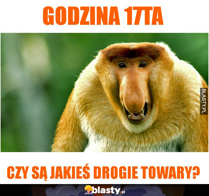 godzina 17ta