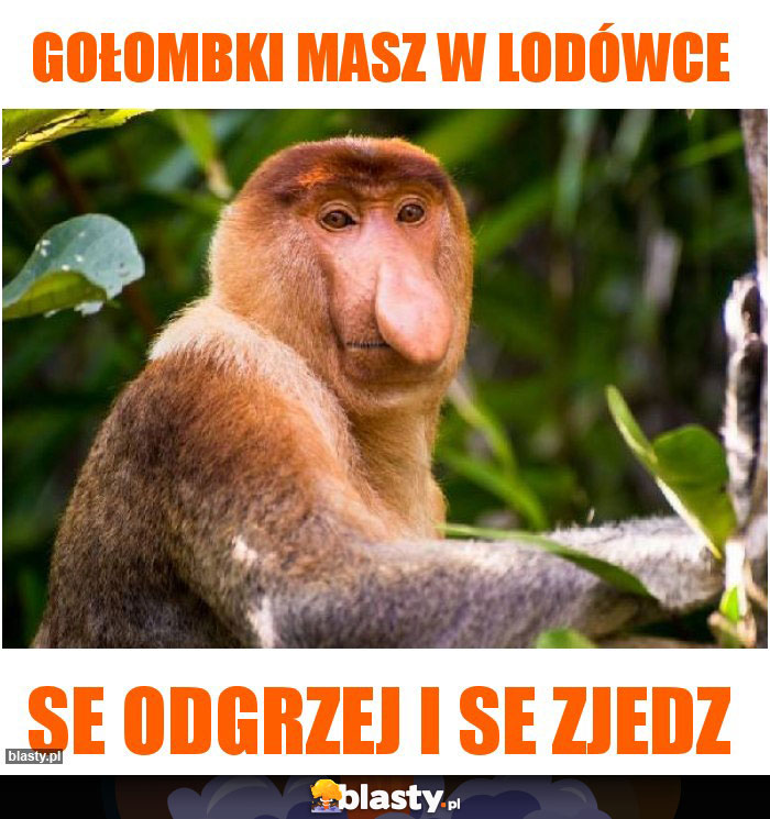 Gołombki masz w lodówce