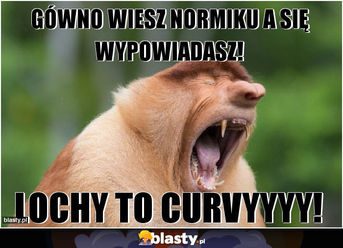 Gówno Wiesz normiku a się wypowiadasz!