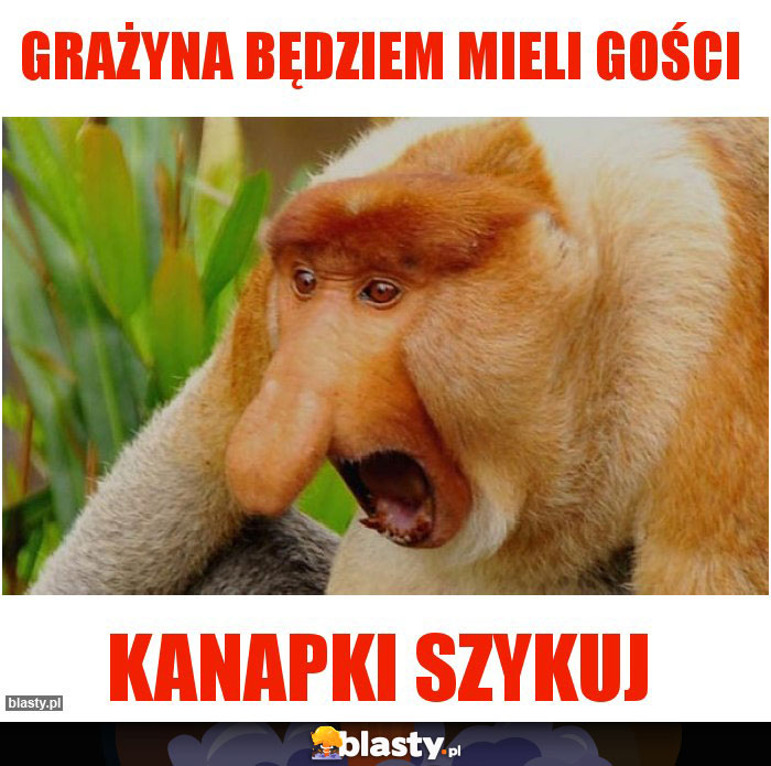 GRAŻYNA BĘDZIEM MIELI GOŚCI