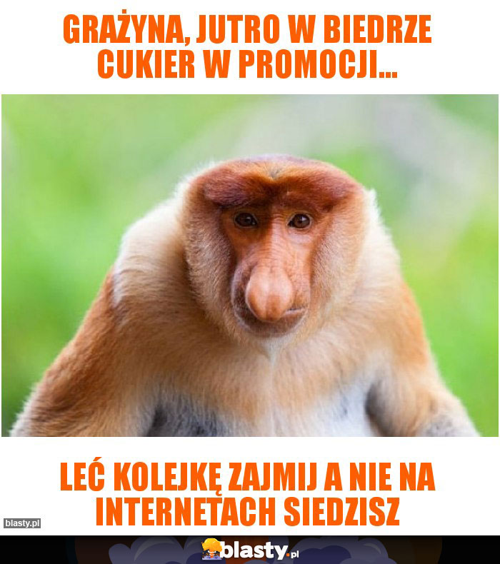 Grażyna, Jutro w biedrze cukier w promocji...