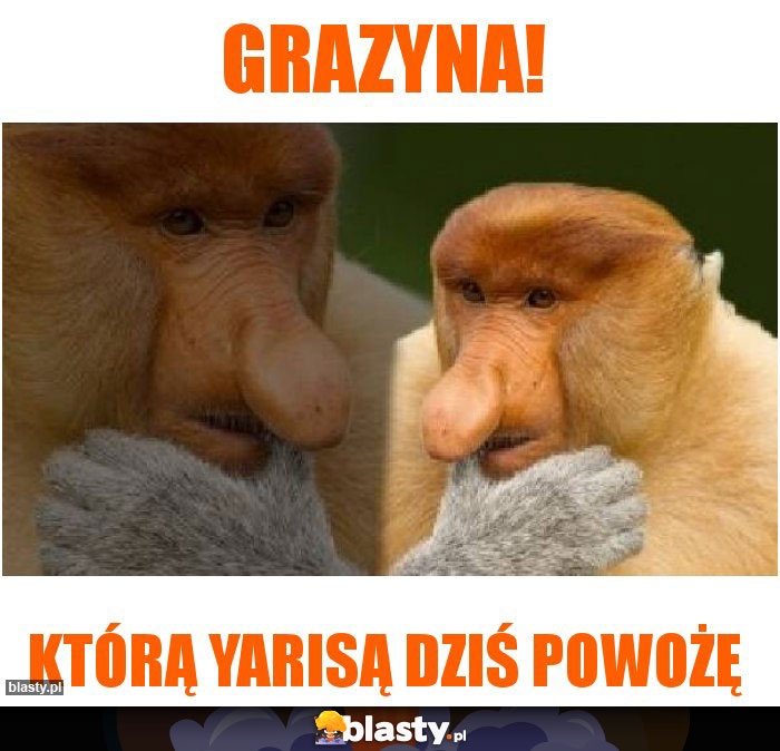 Grazyna!