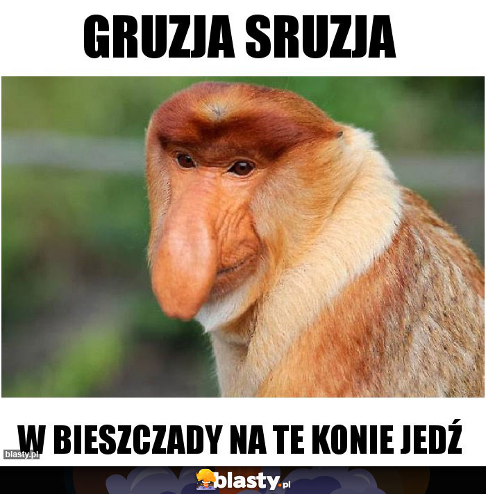 Gruzja sruzja