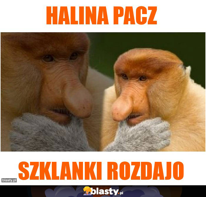 Halina pacz