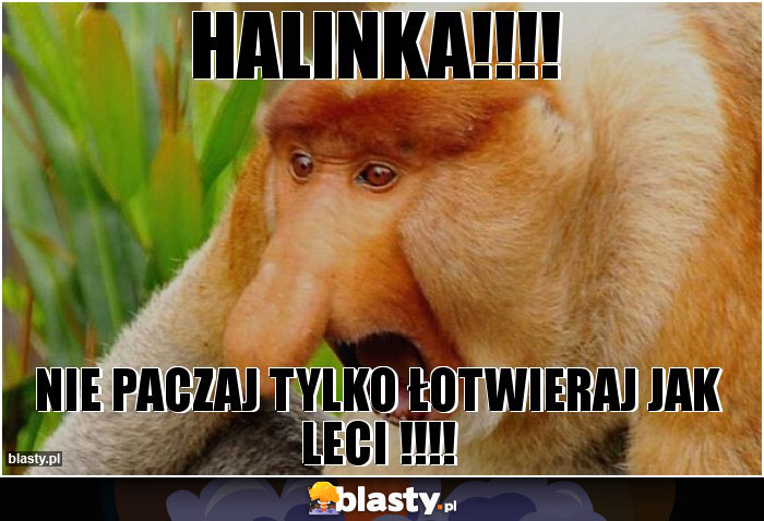 HALINKA!!!!