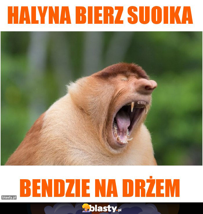 HALYNA BIERZ SUOIKA