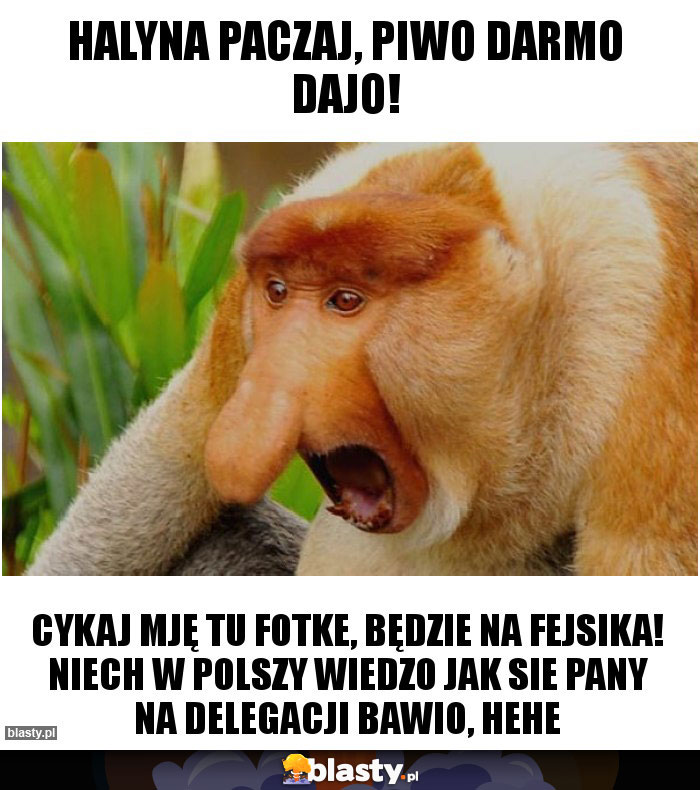 HALYNA PACZAJ, PIWO DARMO DAJO!