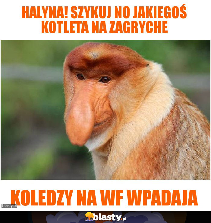 Halyna! Szykuj no jakiegoś kotleta na zagryche