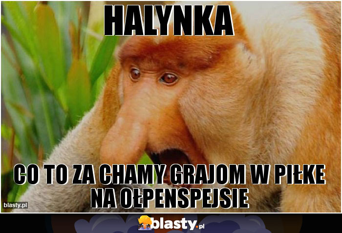 HALYNKA