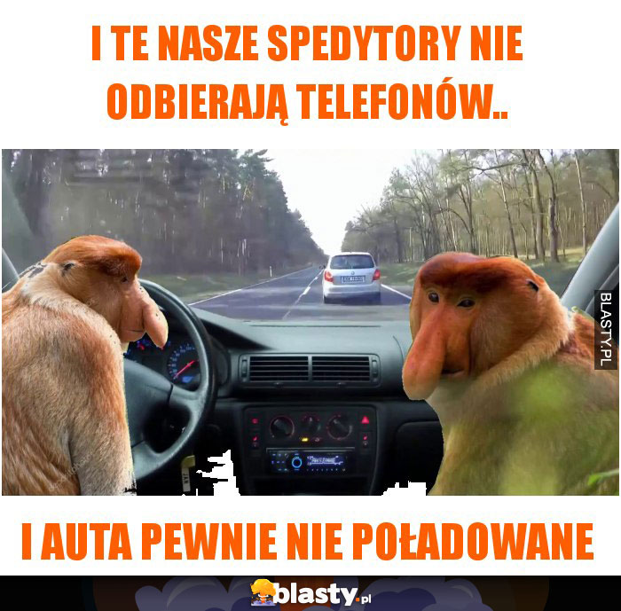 I te nasze spedytory nie odbierają telefonów..