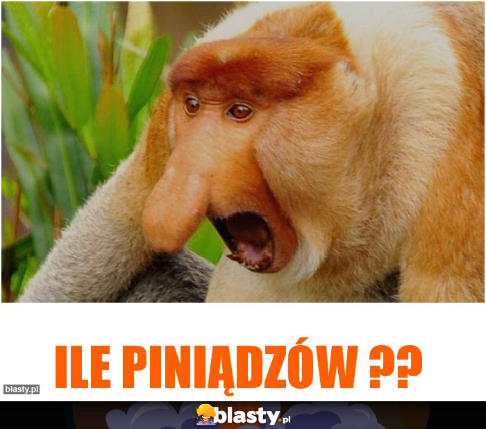 Ile piniądzów ??