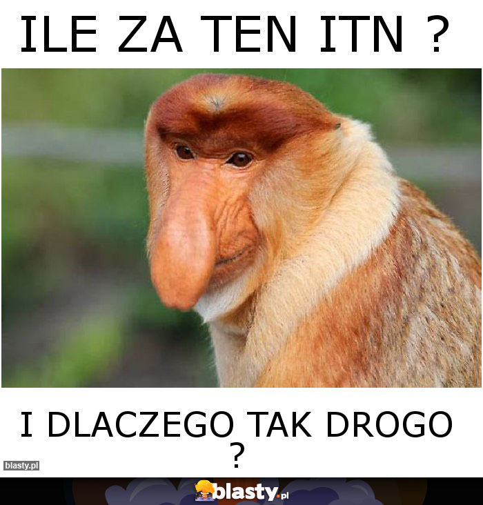 ILE ZA TEN ITN ?