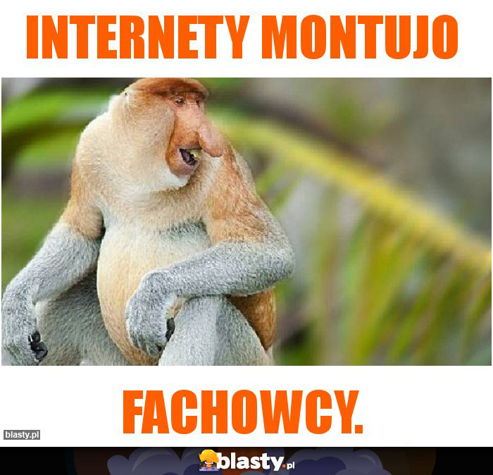 Internety montujo