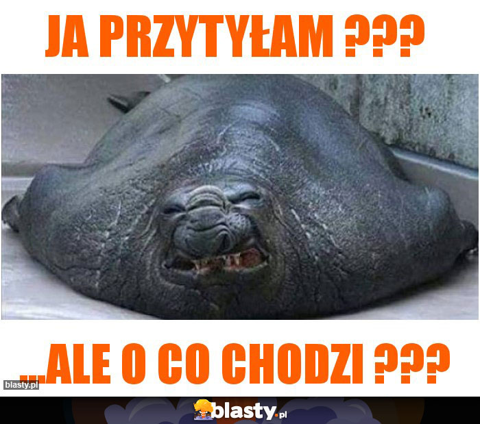 Ja przytyłam ???