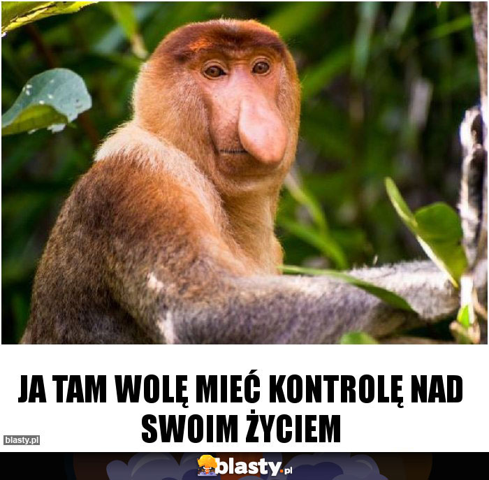 Ja tam wolę mieć kontrolę nad swoim życiem