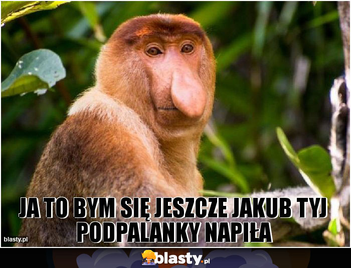 JA TO BYM SIĘ JESZCZE JAKUB TYJ PODPALANKY NAPIŁA