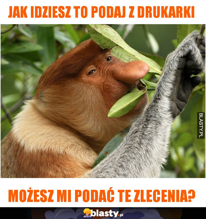 jak idziesz to podaj z drukarki