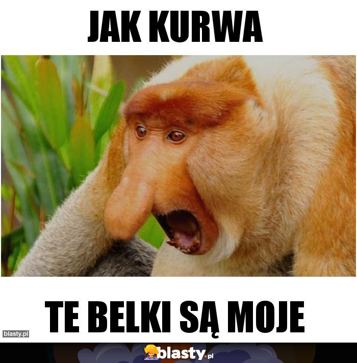 Jak kurwa