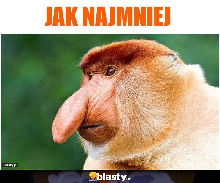 JAK NAJMNIEJ