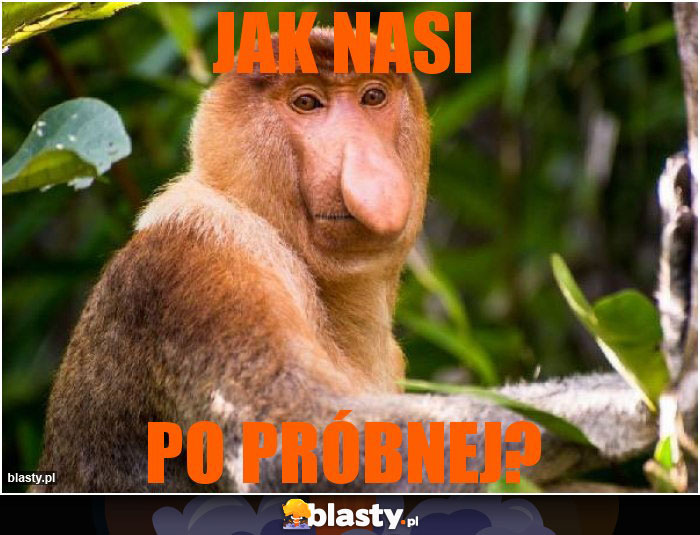 JAK NASI