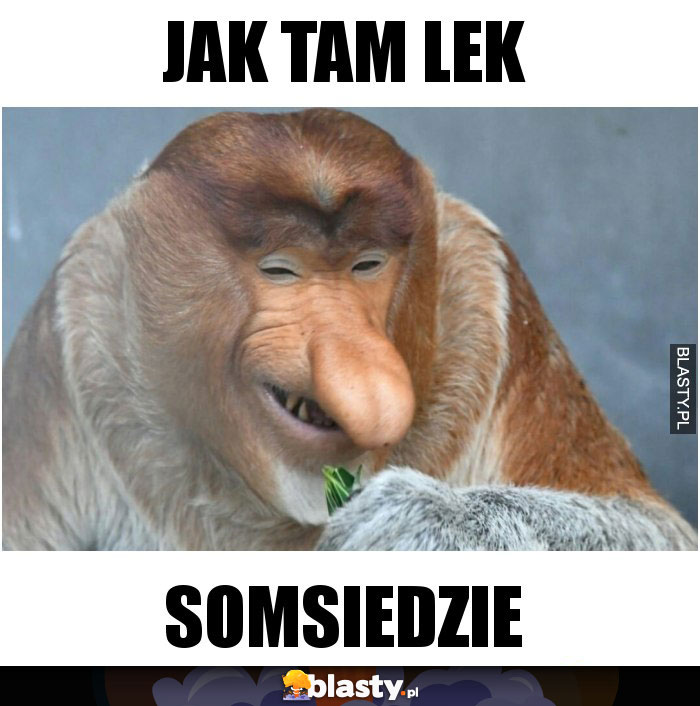 Jak tam LEK