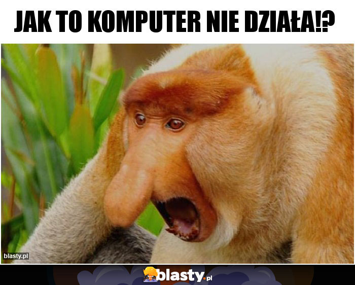 Jak to komputer nie działa!?