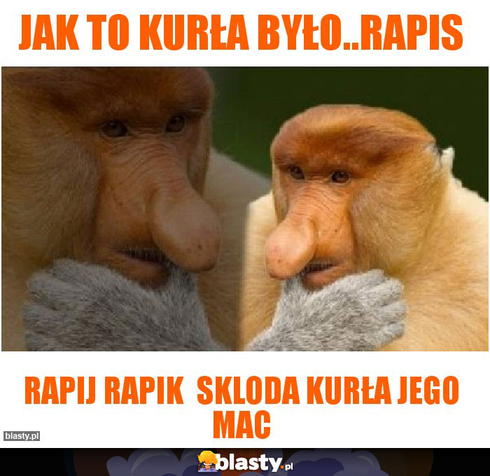 Jak to kurła było..Rapis