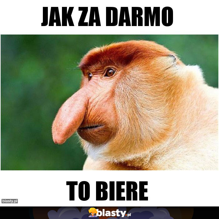 Jak za darmo