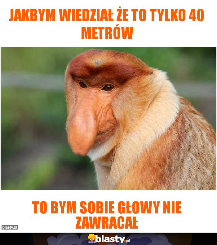 Jakbym wiedział że to tylko 40 metrów