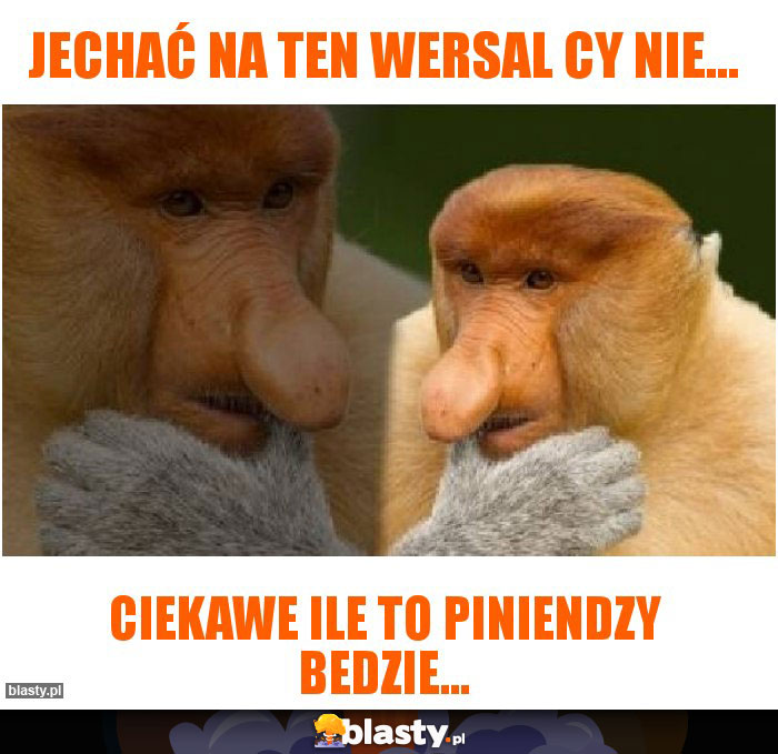 Jechać na ten Wersal cy nie...