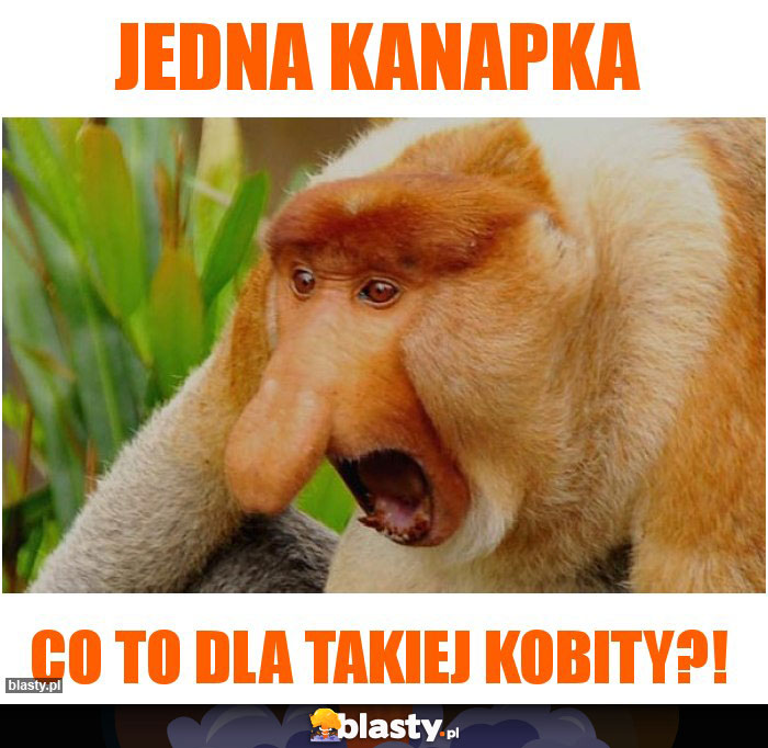 Jedna kanapka