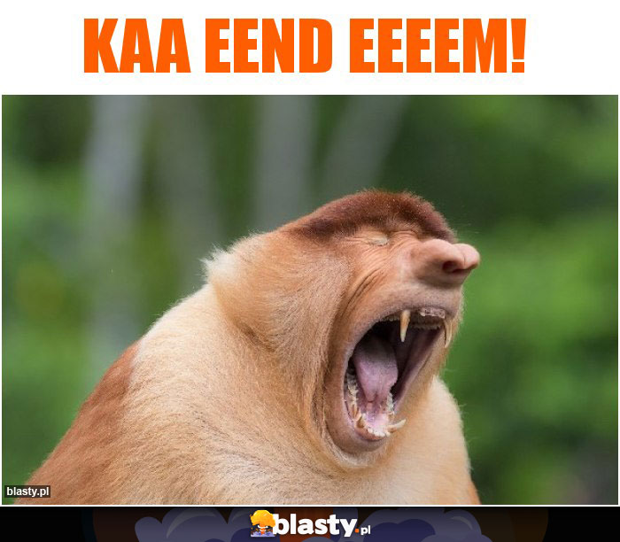 Kaa eend eeeem!