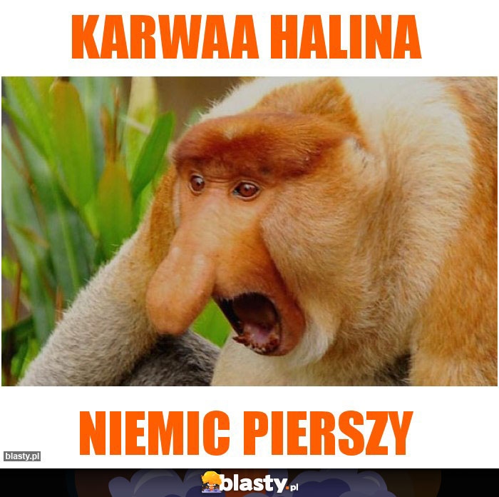 Karwaa Halina