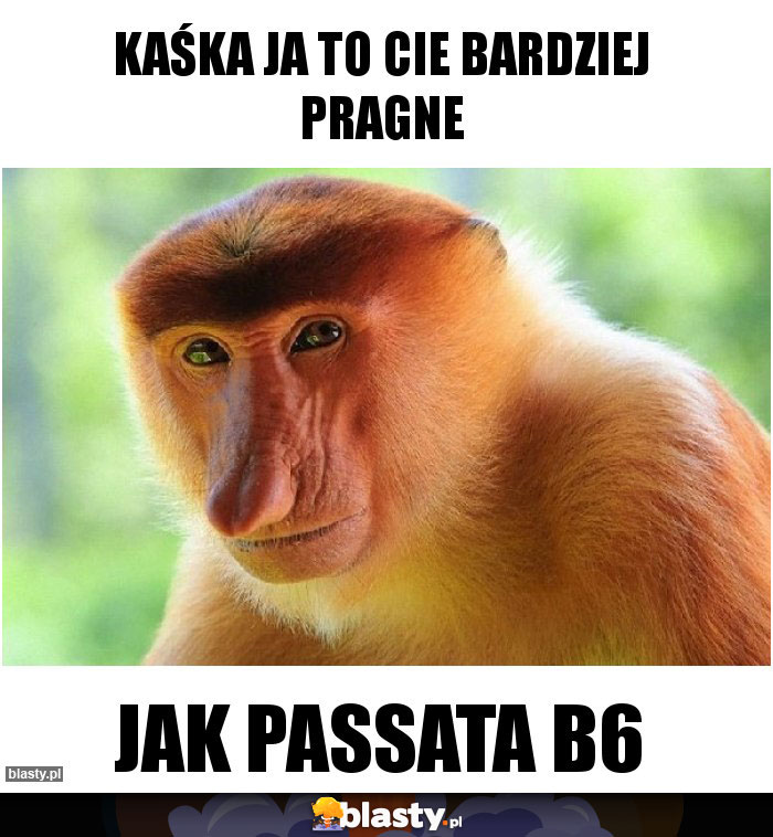 Kaśka ja to Cie bardziej pragne