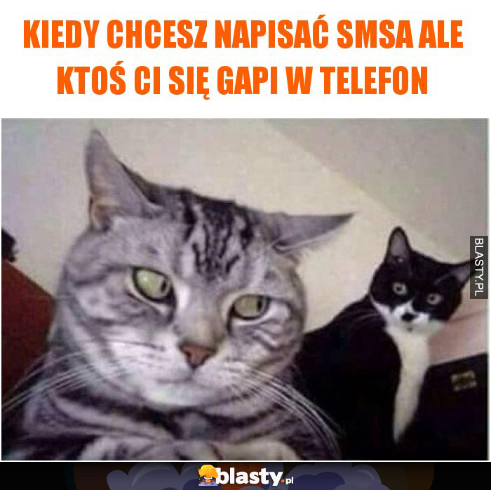 Kiedy chcesz napisać smsa ale ktoś ci się gapi w telefon