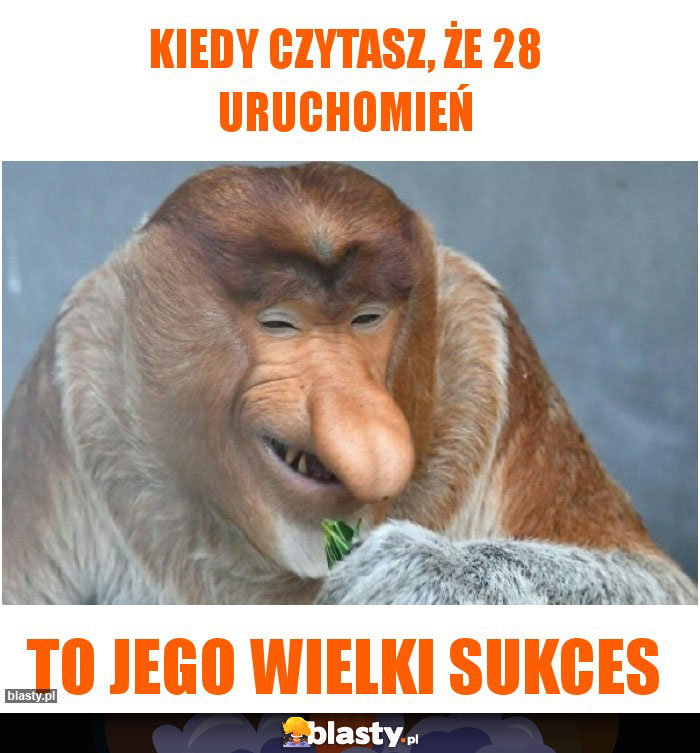 Kiedy czytasz, że 28 uruchomień