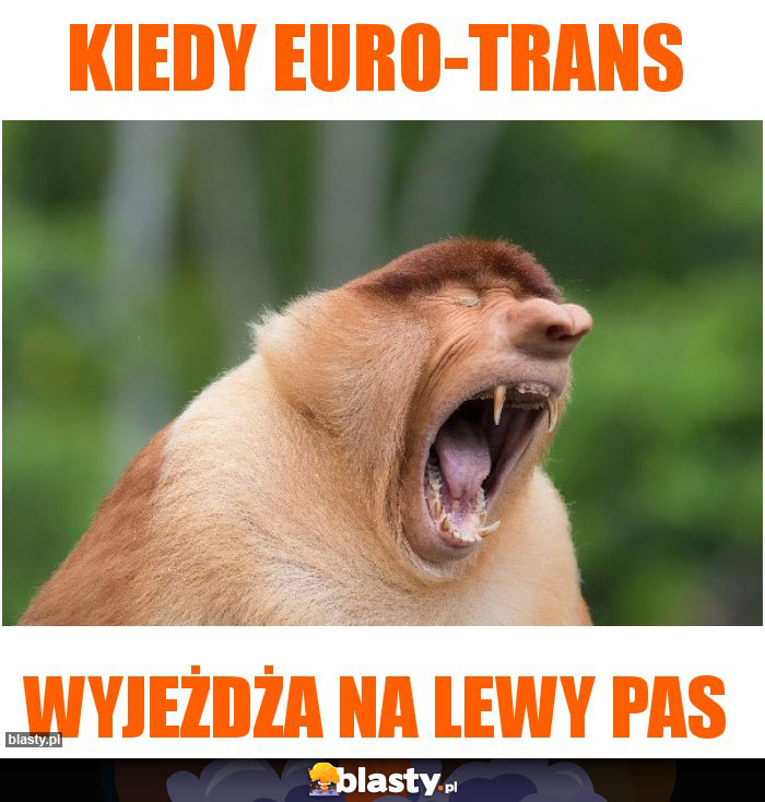 Kiedy euro-trans