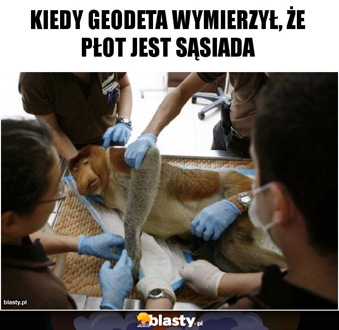 Kiedy geodeta wymierzył, że płot jest sąsiada