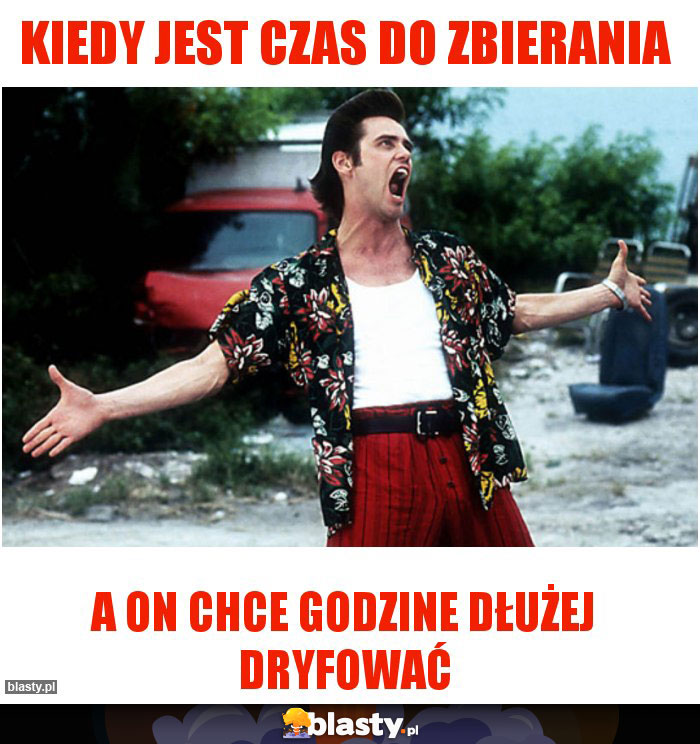 Kiedy jest czas do zbierania