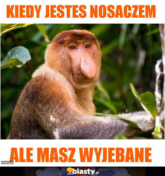 Kiedy jestes nosaczem