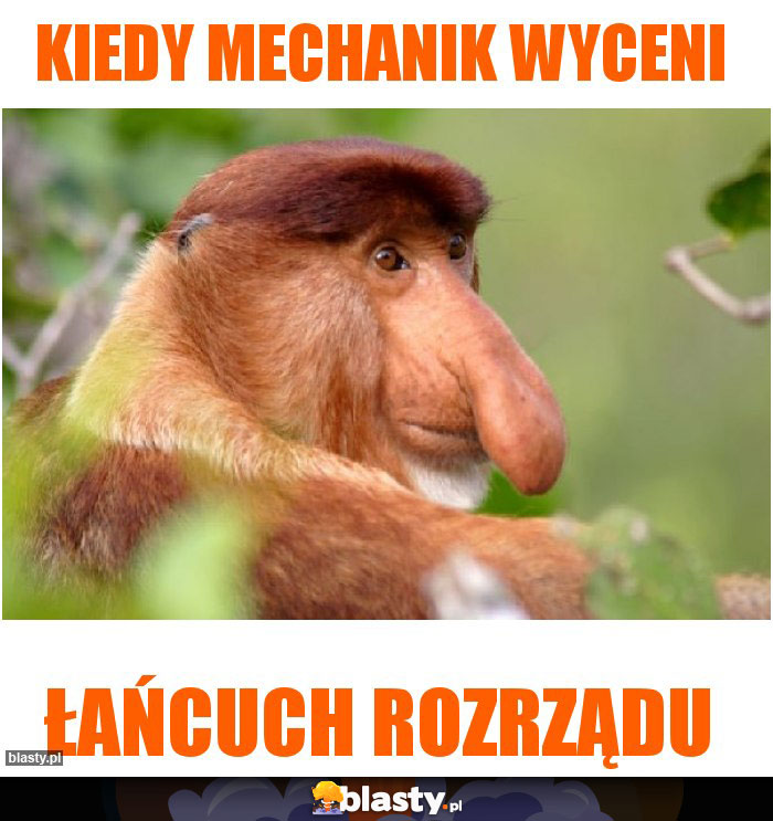 Kiedy mechanik wyceni