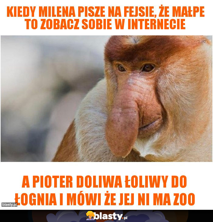 Kiedy Milena pisze na fejsie, że MAŁPE to zobacz sobie w internecie