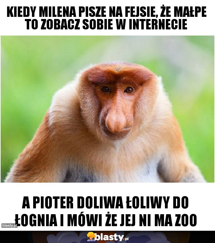 Kiedy Milena pisze na fejsie, że MAŁPE to zobacz sobie w internecie