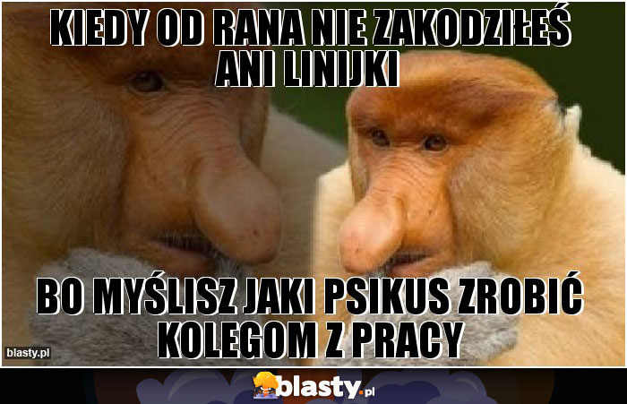 kiedy od rana nie zakodziłeś ani linijki