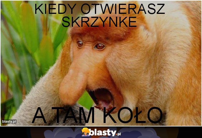 Kiedy otwierasz skrzynke